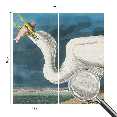 3D fototapetas su paukščiu besivartantį žuvimi