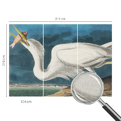 3D fototapetas su paukščiu besivartantį žuvimi