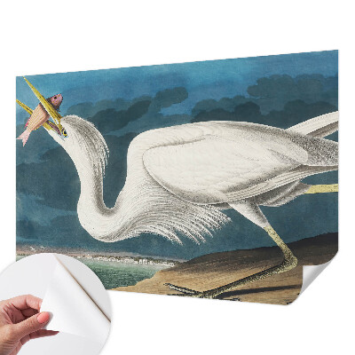 3D fototapetas su paukščiu besivartantį žuvimi