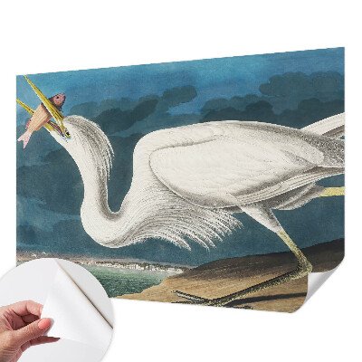 3D fototapetas su paukščiu besivartantį žuvimi