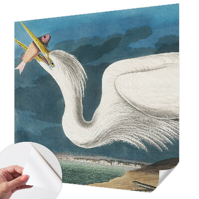 3D fototapetas su paukščiu besivartantį žuvimi