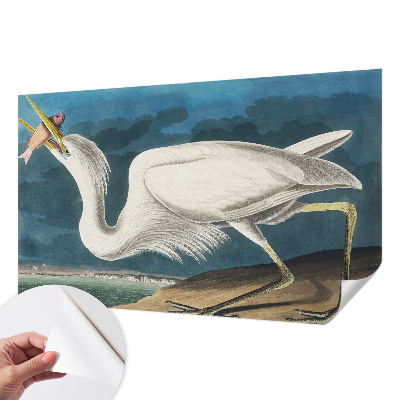 3D fototapetas su paukščiu besivartantį žuvimi