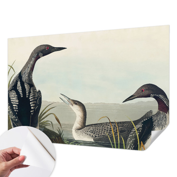 Fototapetas vaikams Fugle virš vandeto