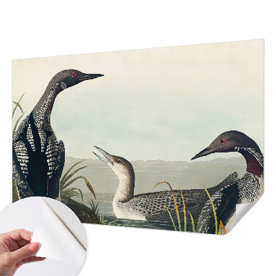 Fototapetas vaikams Fugle virš vandeto