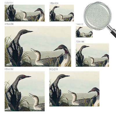 Fototapetas vaikams Fugle virš vandeto