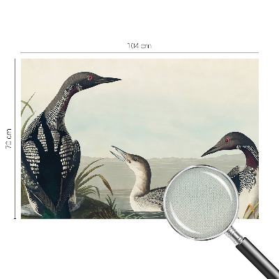 Fototapetas vaikams Fugle virš vandeto