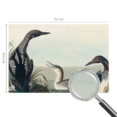 Fototapetas vaikams Fugle virš vandeto