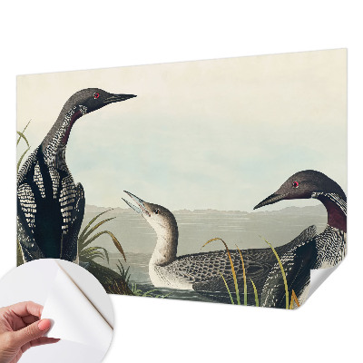 Fototapetas vaikams Fugle virš vandeto