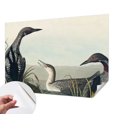 Fototapetas vaikams Fugle virš vandeto