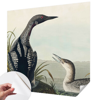 Fototapetas vaikams Fugle virš vandeto