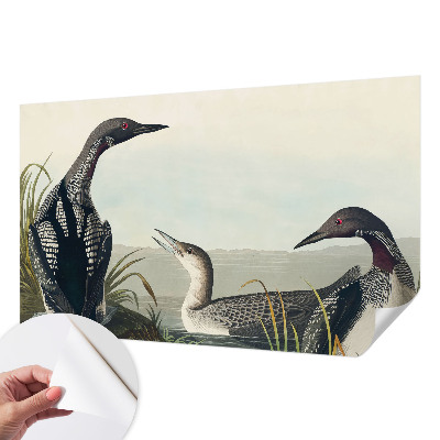 Fototapetas vaikams Fugle virš vandeto