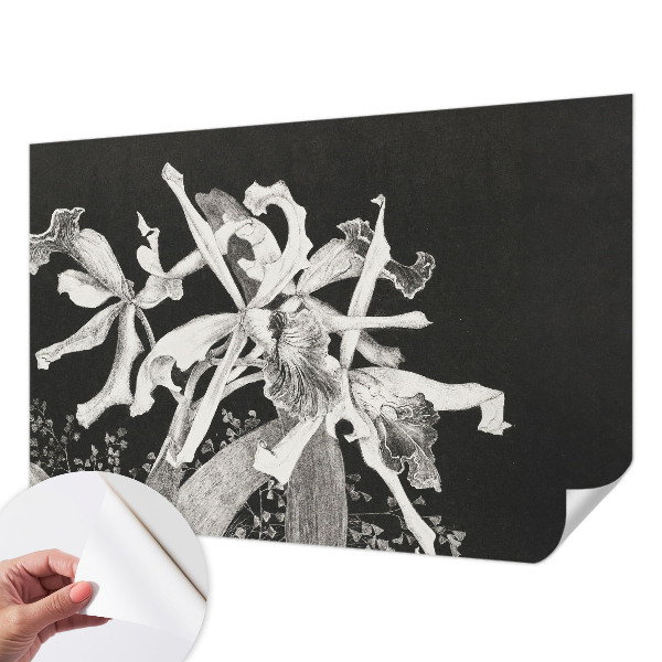 Fototapetai su orchidėjų iliustracija