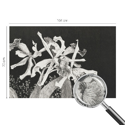Fototapetai su orchidėjų iliustracija