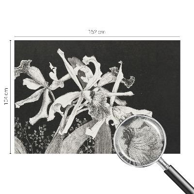 Fototapetai su orchidėjų iliustracija