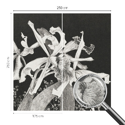 Fototapetai su orchidėjų iliustracija