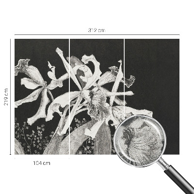 Fototapetai su orchidėjų iliustracija