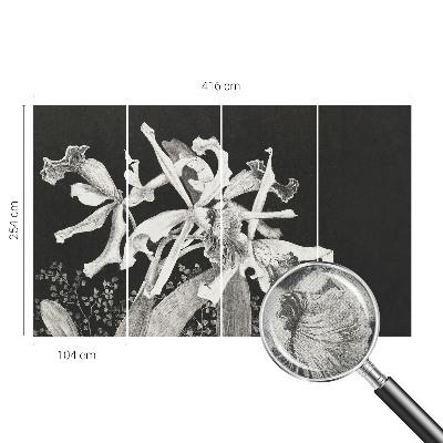Fototapetai su orchidėjų iliustracija