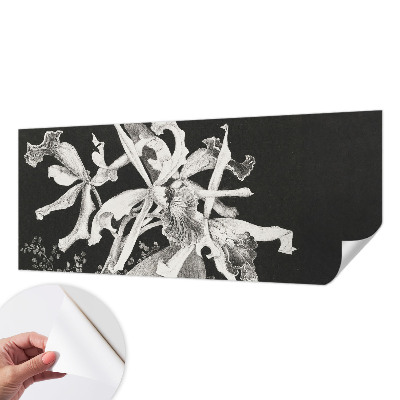 Fototapetai su orchidėjų iliustracija