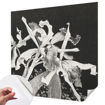 Fototapetai su orchidėjų iliustracija