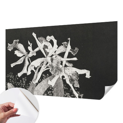 Fototapetai su orchidėjų iliustracija