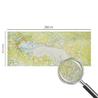 3D fototapetas sienoms su atgalinio kreipimosi efektu