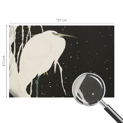 Tapetai Vinterfuglis