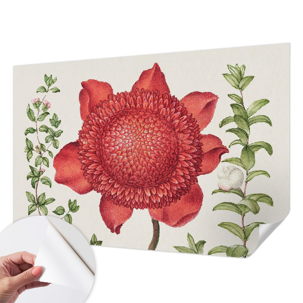 Fototapetas vaikams Blomsteragtig elegancija