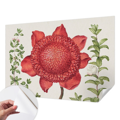 Fototapetas vaikams Blomsteragtig elegancija