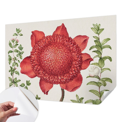 Fototapetas vaikams Blomsteragtig elegancija