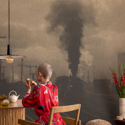 Tapetai Pramonės regionas