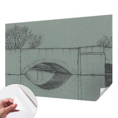 3D fototapetas sienoms su buivolu motyvu