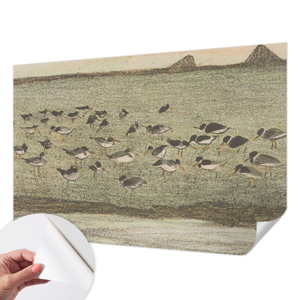 3D fototapetas Fuglensas Fredas