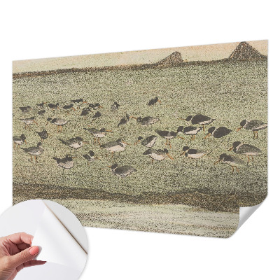 3D fototapetas su dizainu „Fuglensas Fredas“