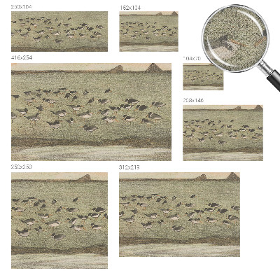 3D fototapetas Fuglensas Fredas