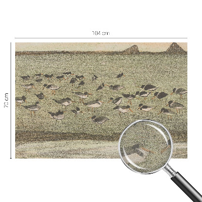 3D fototapetas Fuglensas Fredas