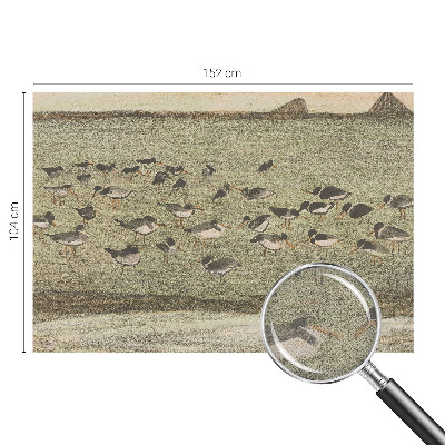 3D fototapetas su dizainu „Fuglensas Fredas“
