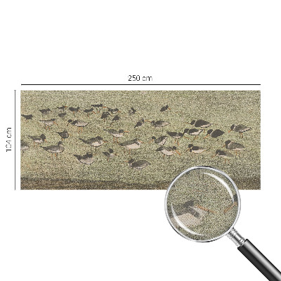 3D fototapetas Fuglensas Fredas