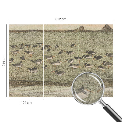 3D fototapetas Fuglensas Fredas