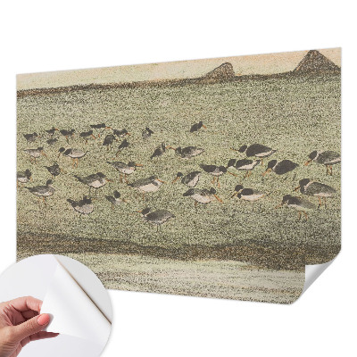 3D fototapetas su dizainu „Fuglensas Fredas“