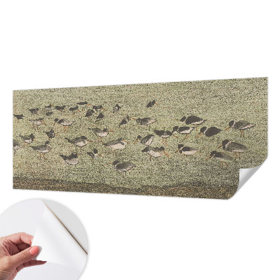 3D fototapetas su dizainu „Fuglensas Fredas“