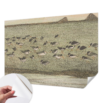 3D fototapetas su dizainu „Fuglensas Fredas“