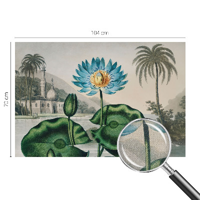 Tapetai Egzotiškas kraštovaizdis