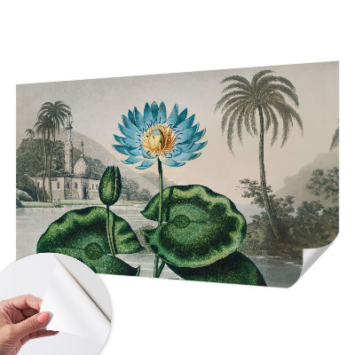 Tapetai Egzotiškas kraštovaizdis