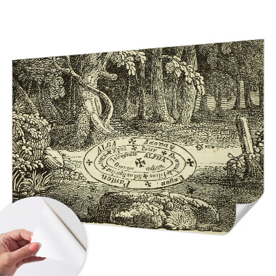 3D fototapetas sienoms su motyvu „Magiškasis ratas“