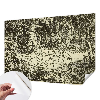 3D fototapetas sienoms Magiškasis ratas