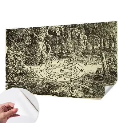 3D fototapetas sienoms su motyvu „Magiškasis ratas“
