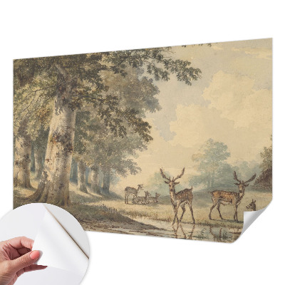 Fototapetas vaikams Skovfredas