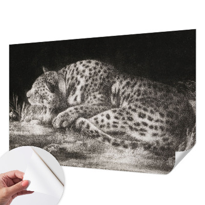 Fototapetai su leopardinio rašto motyvu
