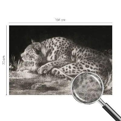 Fototapetai su leopardinio rašto motyvu