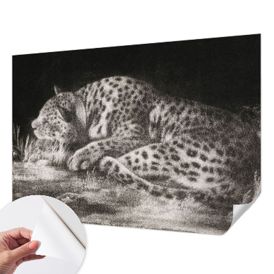 Fototapetai su leopardinio rašto motyvu